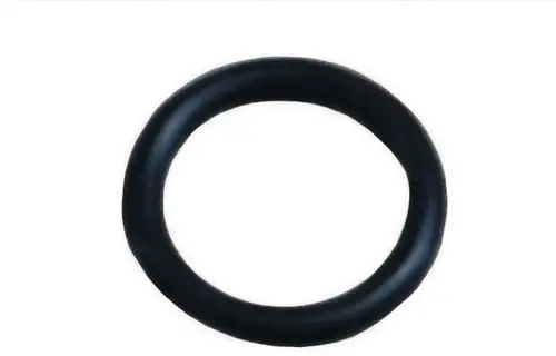 Schwarzer O-Ring von Bosch, kreisförmig, mit glatter Oberfläche. Ideal für Abdichtungsanwendungen in verschiedenen mechanischen Geräten.